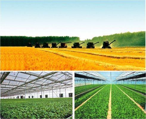 農業新引擎 技術驅動下的河南農業超越之路