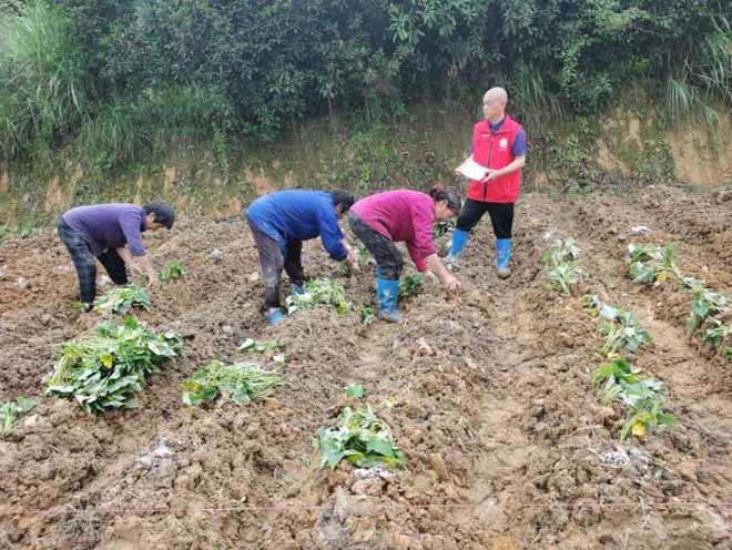 線上開網課線下送技術 巴南科技特派員雙線并進，賦能農業生產促農增收