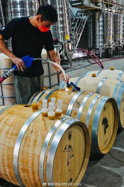 中國葡萄酒新勢力 釀松弛的酒，做最“野”的標